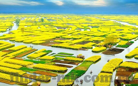 信誉抢庄牛牛app-信誉抢庄牛牛app，打造公平竞技的娱乐新平台
